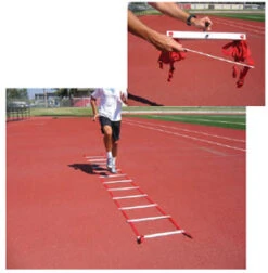 Basic Agility Ladder