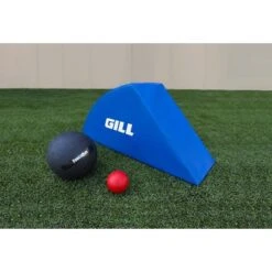 Gill Archy Training Mat