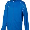 Puma Performance Training Youth Jacket -Athletic Shop 651405 ry