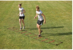 PowerMax Web Agility Ladder