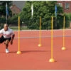 Agility Poles